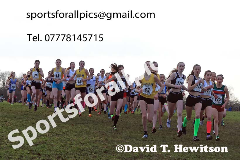 Girls Under-15s 2024 Northern Cross Country Champs., Sedgefield. Photo: David T. Hewitson/Sports for All Pics
